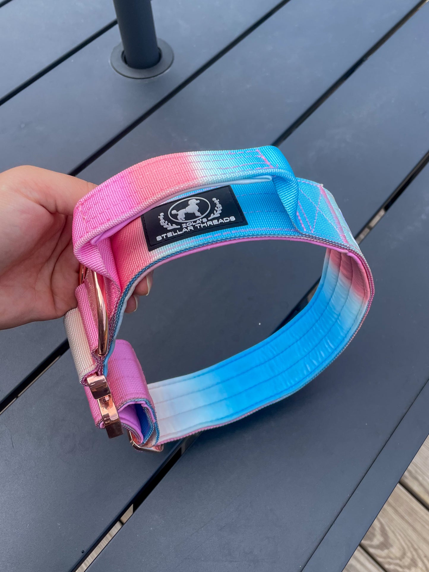 Ombre Dog Collar with Handle