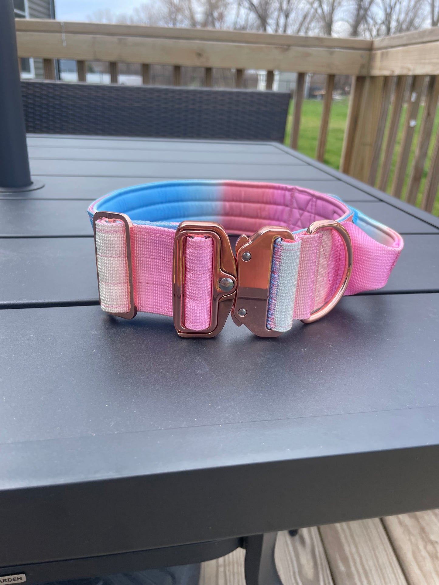 Ombre Dog Collar with Handle