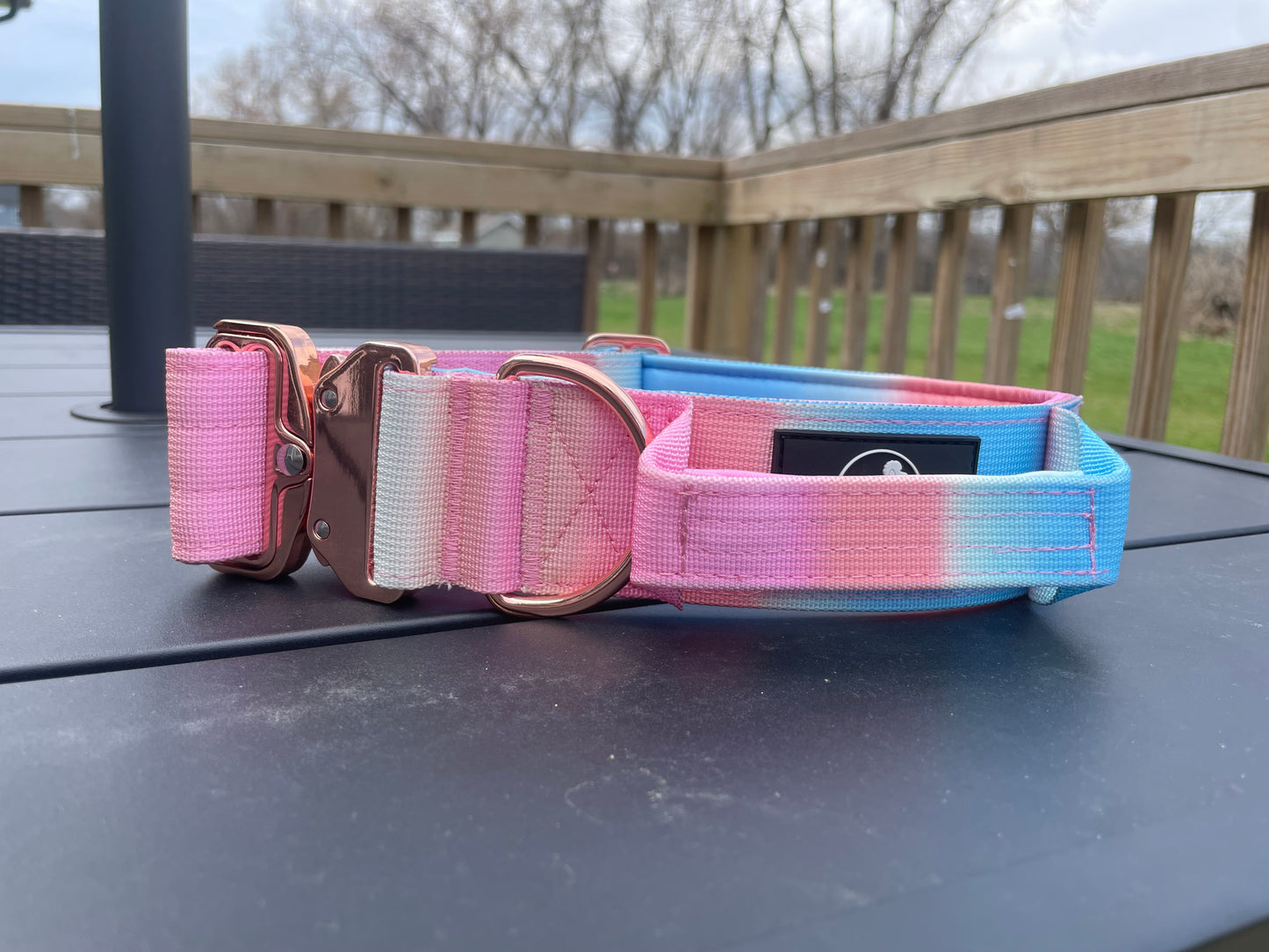 Ombre Dog Collar with Handle