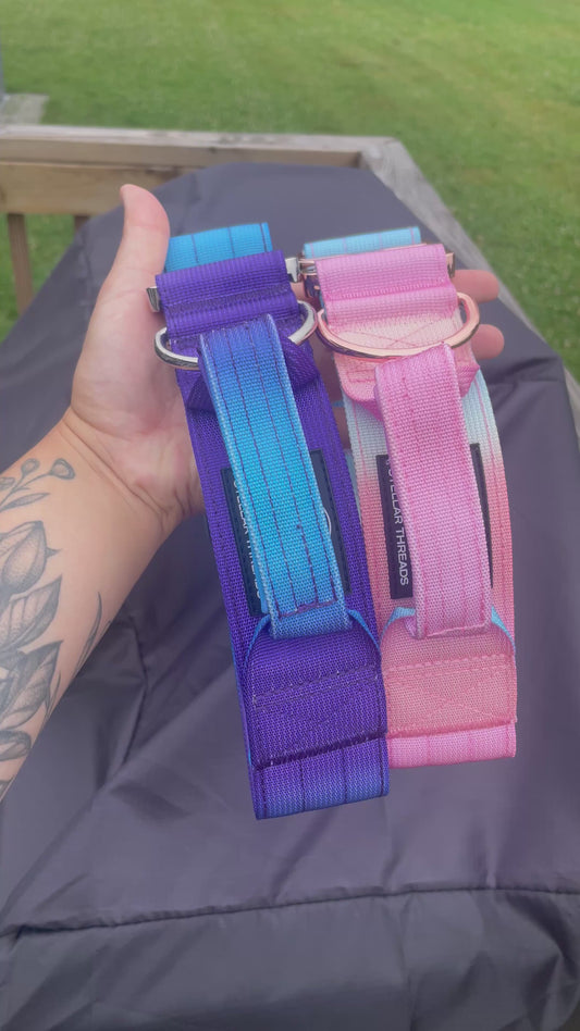 Ombre Dog Collar with Handle